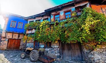 Cumalıkızık Tirilye Mudanya Gölyazı Turu